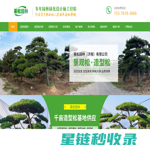 葫芦岛南票区造型松-造型油松-葫芦岛南票区黑松盆景-别墅庭院景观松-山东泰安莱芜造型松基地